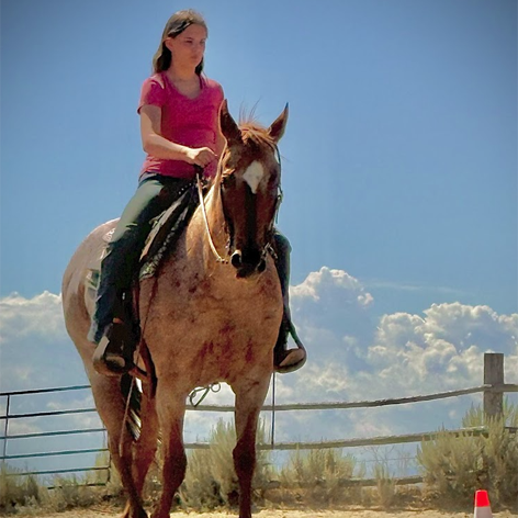 HorsebackRidingLessons