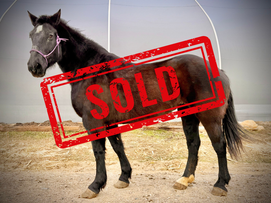Mabel Left SOLD
